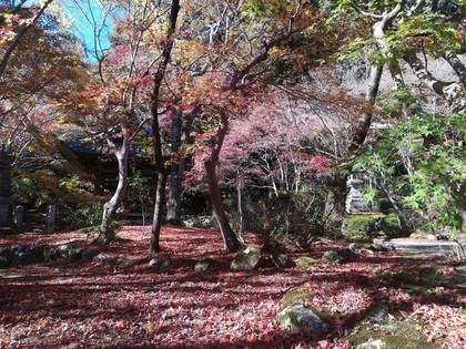 勝持寺