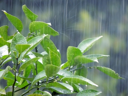 外は大雨