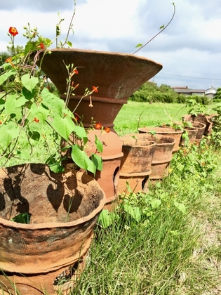 新しく出土した一千年前の文化財