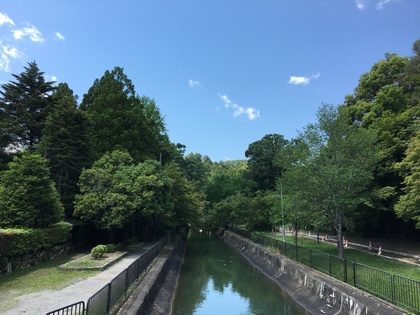 森林浴をするのに最も良い場所